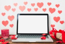 lovelolablog codes
